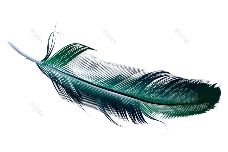 渐变图片,动物元素,羽毛PNG,免抠素材